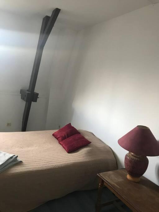 Maison Ville 50M2 5 Personnes 圣皮埃尔德科尔 外观 照片